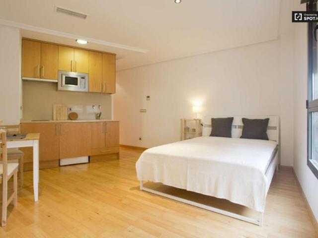 Apartamentos Madrid Madrid LS91948346