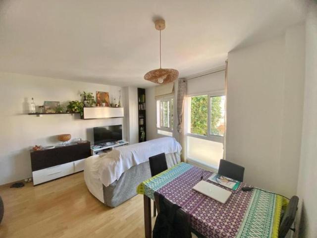 Apartamentos Málaga Málaga 91131839