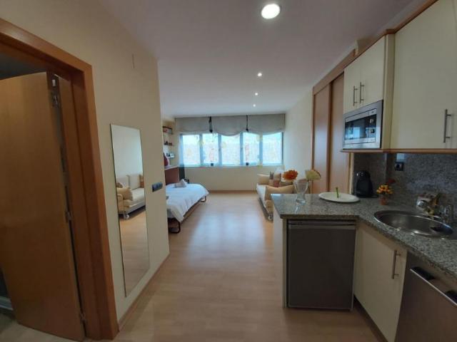 Apartamentos Málaga Málaga 96001363