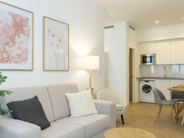 Apartamentos Malaga Malaga 99010393