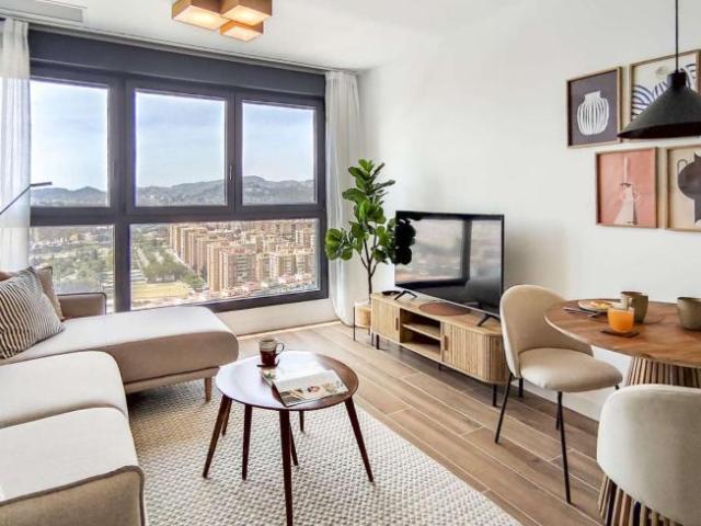 Apartamentos Malaga Malaga 99010494