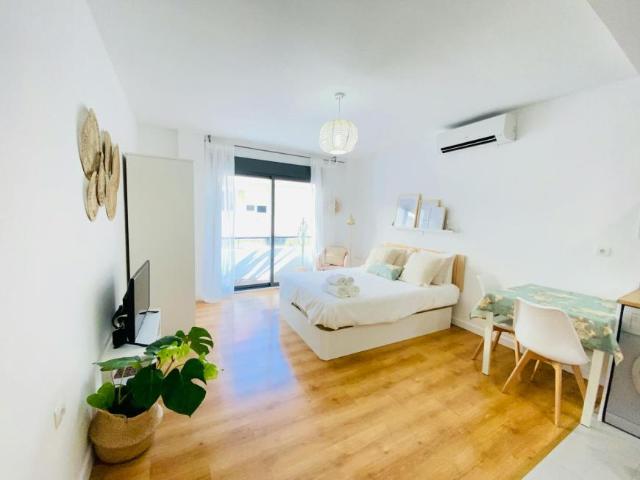 Apartamentos Málaga Málaga 102273622