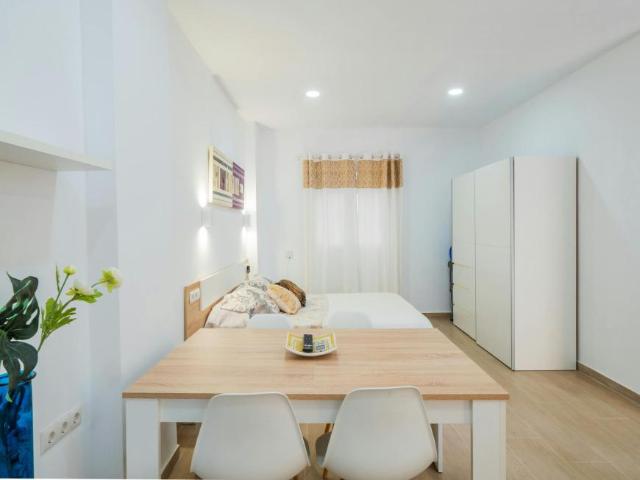 Apartamentos Málaga Málaga 103061804