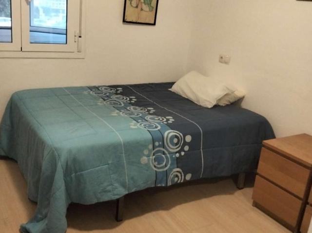 Apartamentos Malaga Malaga 103181552