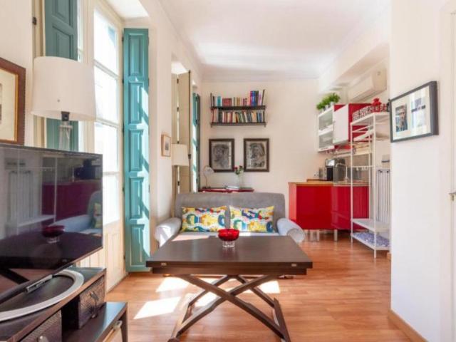 Apartamentos Malaga Malaga 103287013