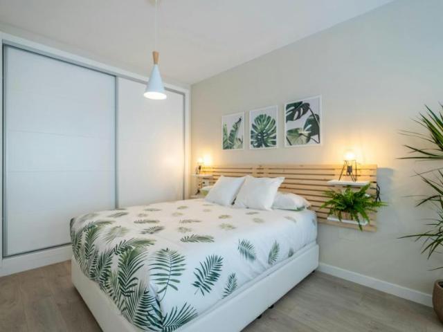 Apartamentos Málaga Málaga 104364518