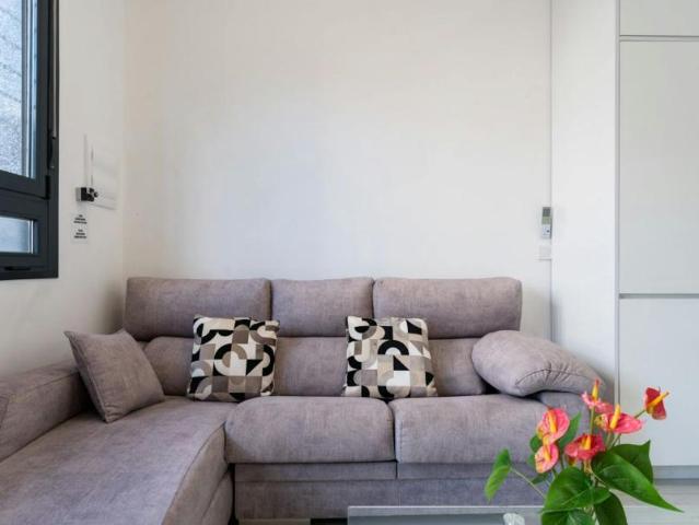 Apartamentos Málaga Málaga ES102340113