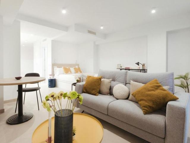 Apartamentos Málaga Málaga ES102953133