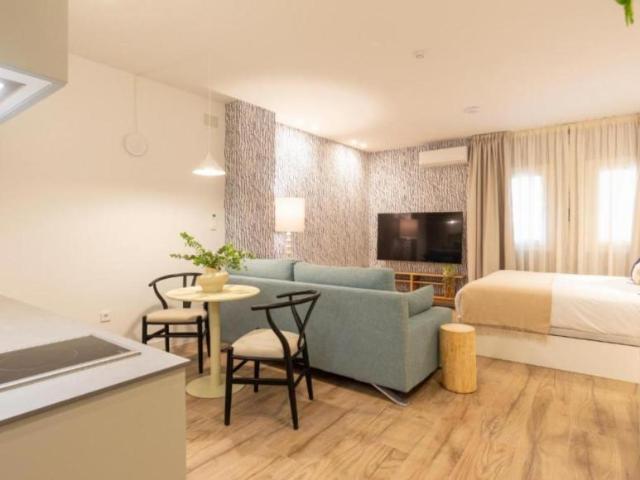 Apartamentos Málaga Málaga ES104229672