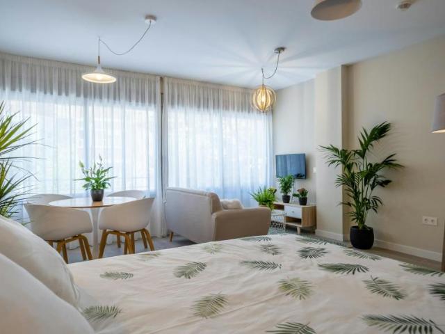 Apartamentos Málaga Málaga ES104364518