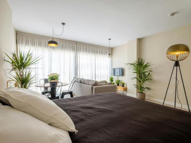 Apartamentos Málaga Málaga ES104364519