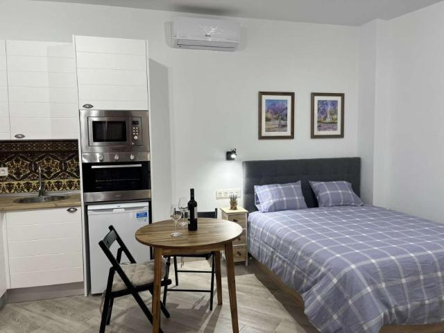 Apartamentos Malaga Malaga LS96591357