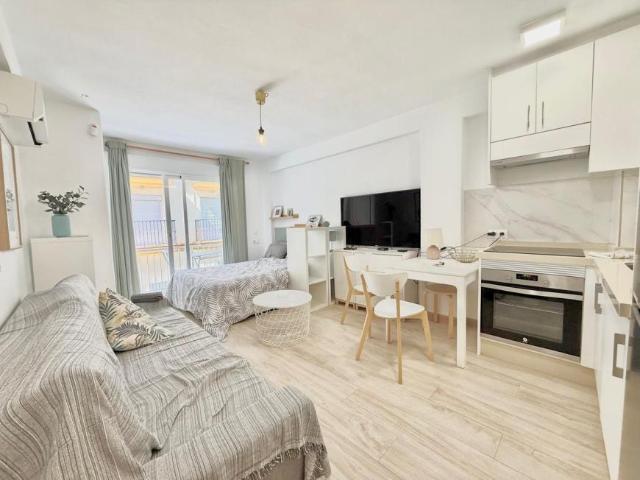 Apartamentos Málaga Andalusia 101318567
