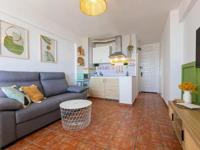 Apartamentos Marbella Marbella ES102849987