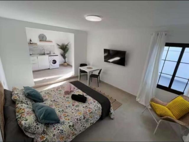 Apartamentos Santa Cruz De Tenerife Santa Cruz De Tenerife LS99798855