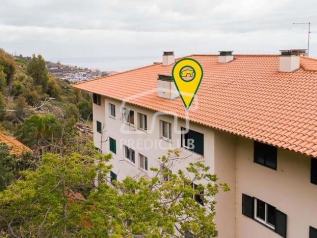 Apartamentos Santa Cruz Ilha da Madeira DS101777467