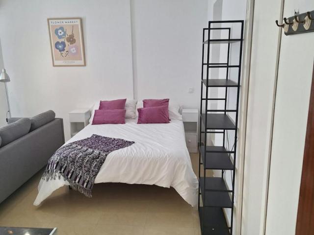 Apartamentos Sevilla Sevilla ELS100049734