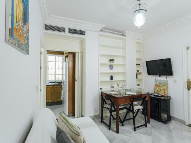 Apartamentos Sevilla Sevilla ELS101020415