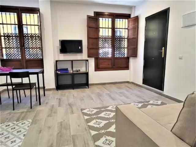 Apartamentos Sevilla Sevilla ES100384936