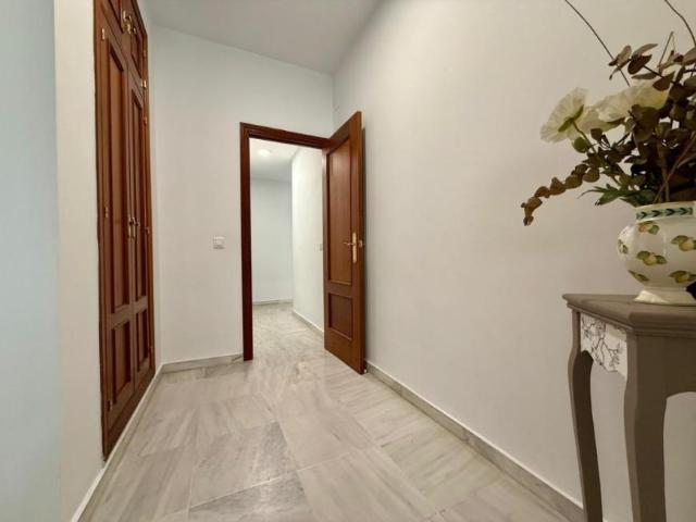 Apartamentos Sevilla Sevilla ES102052256