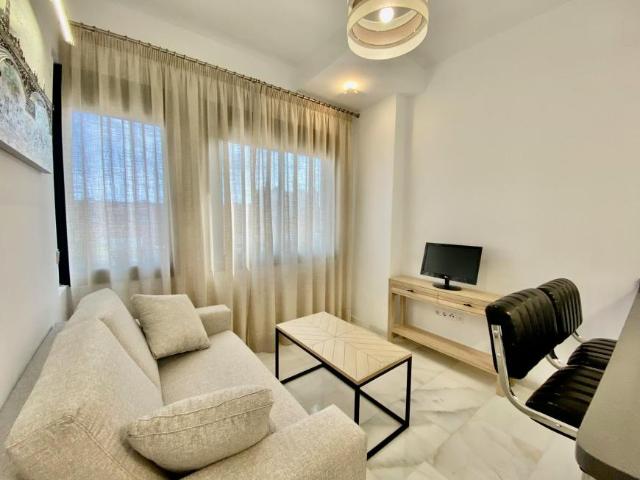 Apartamentos Sevilla Sevilla LS103012669
