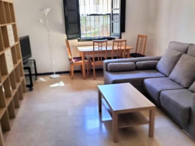 Apartamentos Sevilla Sevilla 100228808