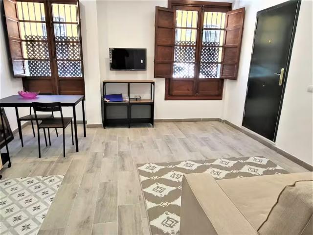 Apartamentos Sevilla Sevilla 100384936