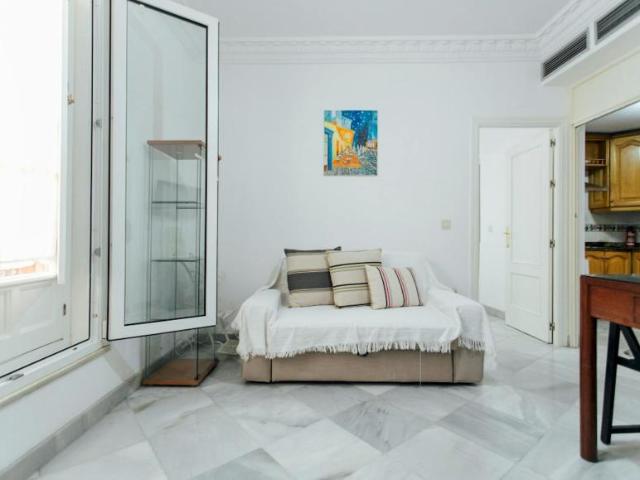 Apartamentos Sevilla Sevilla 101020415