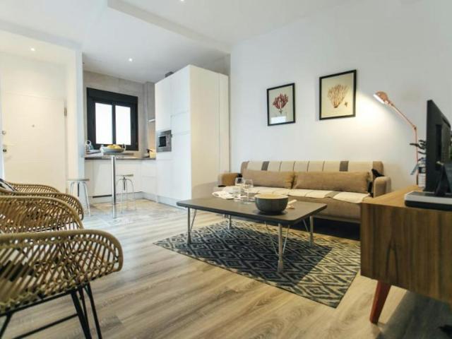 Apartamentos Sevilla Sevilla 101190393