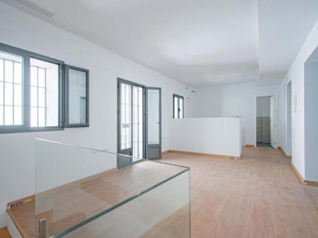 Apartamentos Sevilla Sevilla 102752410