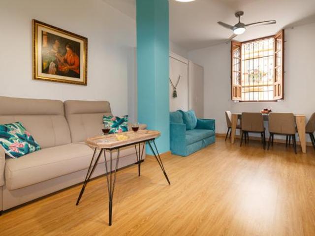 Apartamentos Sevilla Sevilla 65796623