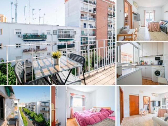 Apartamentos Sevilla Sevilla 99756119