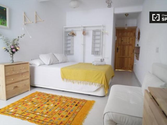 Apartamentos Seville Seville ES101731005