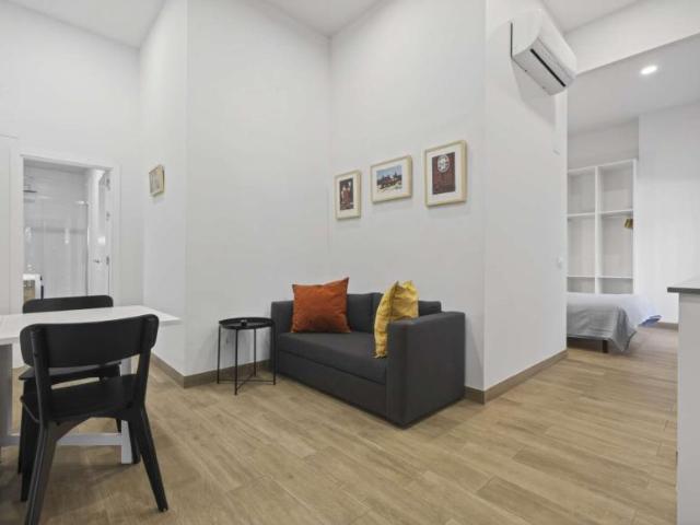 Apartamentos Seville Seville 102248156
