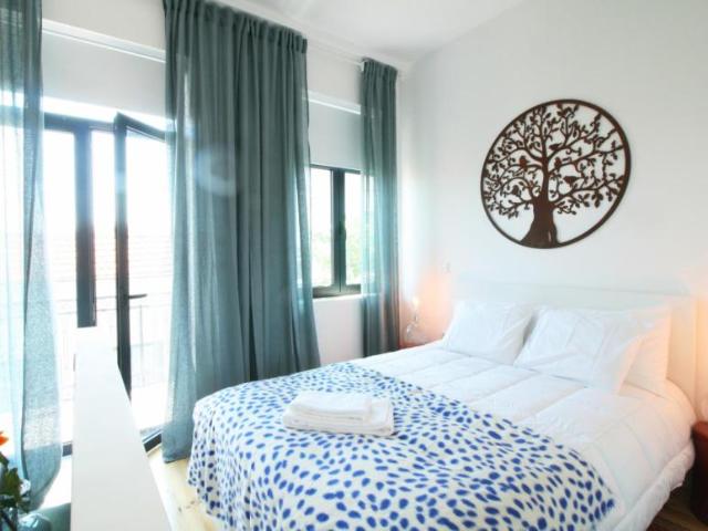 Apartamentos Porto Porto DS103335323