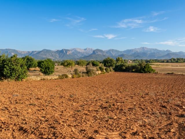 Apartamentos Palma De Mallorca Balearic Islands 103397841