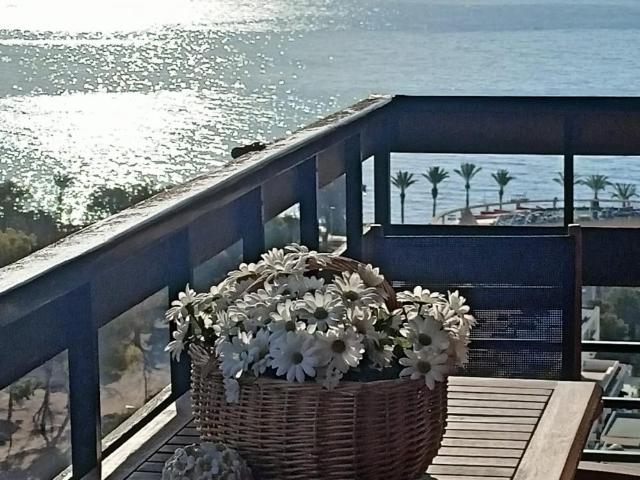 Apartamentos Roquetas De Mar Almeria 72851525
