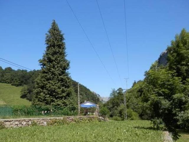 Apartamentos Riomiera San Roque De Riomiera Cantabria