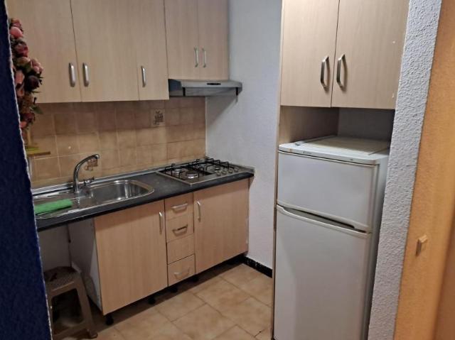Apartamentos Torrevieja Alicante 99509570