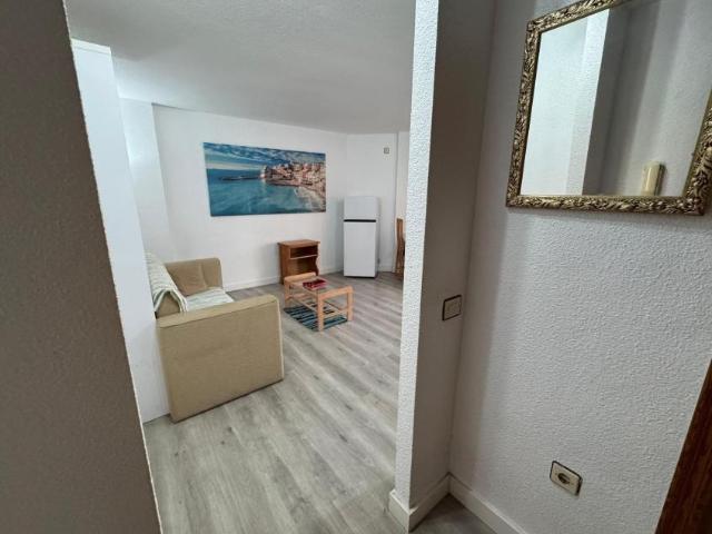 Apartamentos Torrevieja Alicante 101188529