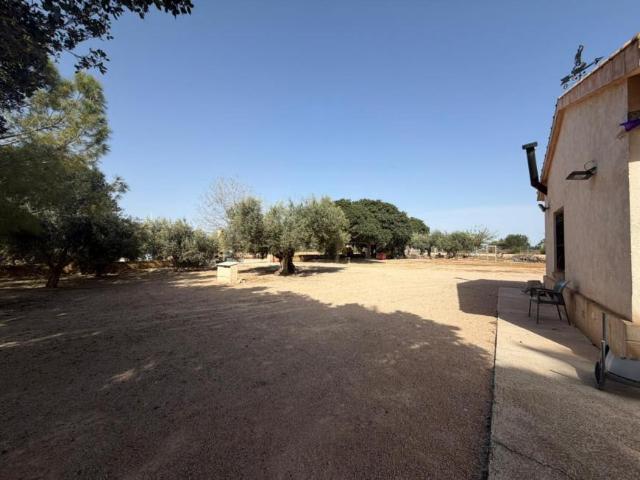 Apartamentos Torre Pacheco Murcia 101950218