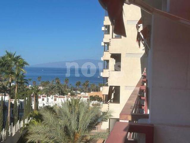 Apartamentos Tenerife CanariasCanary Islands 96118619