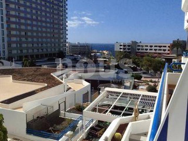 Apartamentos Tenerife CanariasCanary Islands LS93587695