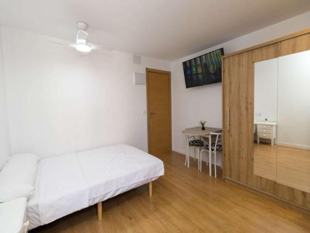 Apartamentos Valencia Valencia 101268907
