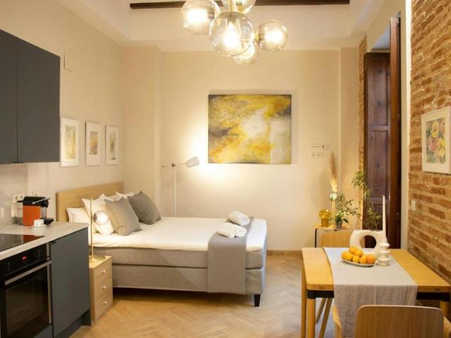 Apartamentos Valencia Valencia 101269289