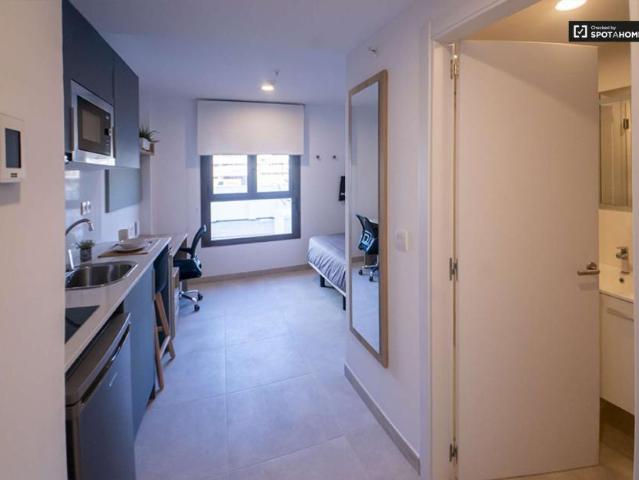 Apartamentos Valencia Valencia 101771658