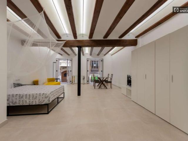 Apartamentos Valencia Valencia 101809397