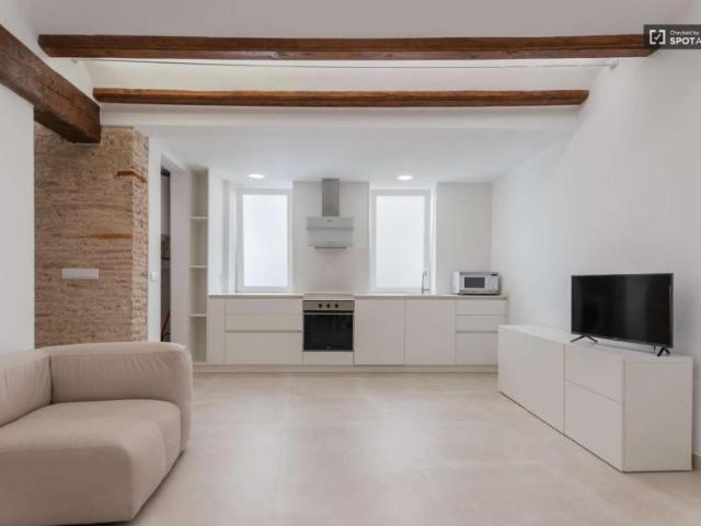 Apartamentos Valencia Valencia 101814567