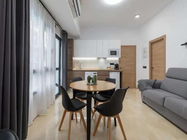 Apartamentos Valencia Valencia 101817141