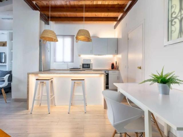 Apartamentos Valencia Valencia 101824798